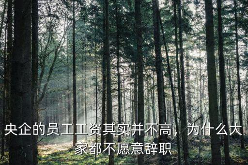 央企的員工工資其實并不高，為什么大家都不愿意辭職