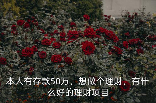 本人有存款50萬，想做個理財，有什么好的理財項目