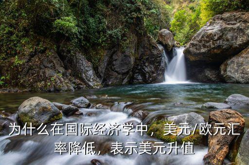 為什么在國際經(jīng)濟學中，美元/歐元匯率降低，表示美元升值