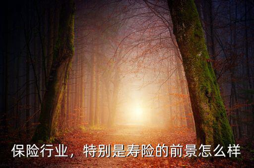 保險(xiǎn)行業(yè)，特別是壽險(xiǎn)的前景怎么樣