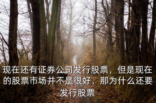 現(xiàn)在還有證券公司發(fā)行股票，但是現(xiàn)在的股票市場(chǎng)并不是很好，那為什么還要發(fā)行股票
