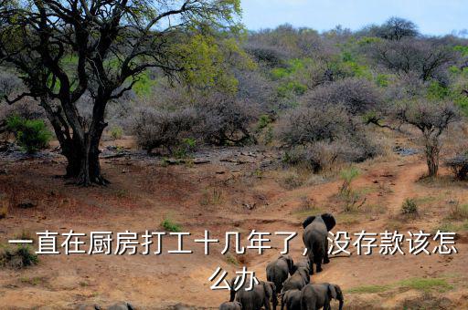 一直在廚房打工十幾年了，沒(méi)存款該怎么辦