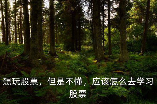 想玩股票，但是不懂，應(yīng)該怎么去學(xué)習(xí)股票