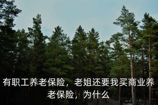 有職工養(yǎng)老保險，老姐還要我買商業(yè)養(yǎng)老保險，為什么