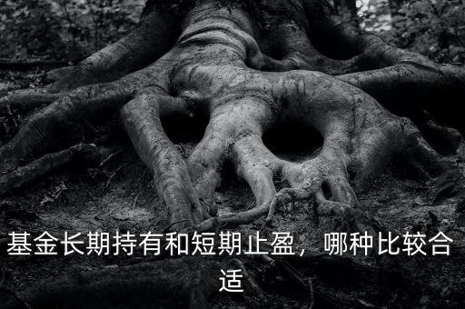基金長(zhǎng)期持有和短期止盈，哪種比較合適
