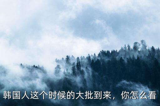 韓國(guó)人這個(gè)時(shí)候的大批到來(lái)，你怎么看