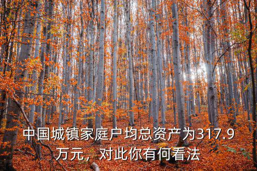 中國城鎮(zhèn)家庭戶均總資產(chǎn)為317.9萬元，對此你有何看法