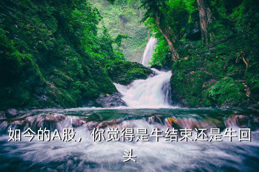 如今的A股，你覺得是牛結(jié)束還是牛回頭