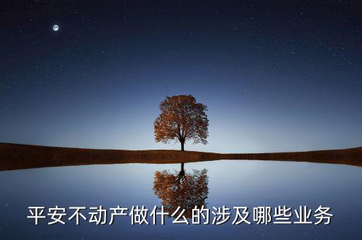什么是不動產金融產品,平安不動產做什么的