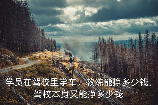 學員在駕校里學車，教練能掙多少錢，駕校本身又能掙多少錢