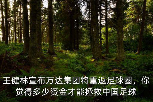 王健林宣布萬達集團將重返足球圈，你覺得多少資金才能拯救中國足球
