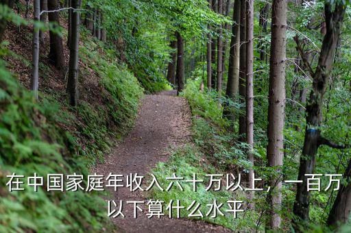 在中國(guó)家庭年收入六十萬(wàn)以上，一百萬(wàn)以下算什么水平