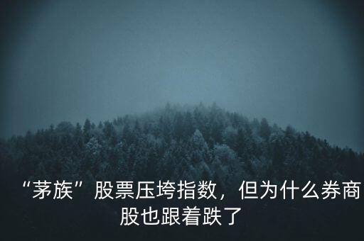 “茅族”股票壓垮指數(shù)，但為什么券商股也跟著跌了