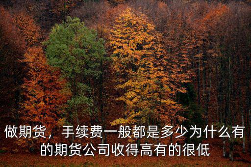 做期貨，手續(xù)費一般都是多少為什么有的期貨公司收得高有的很低