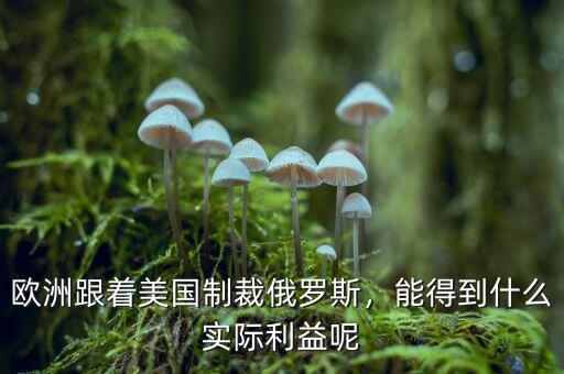 歐洲跟著美國(guó)制裁俄羅斯，能得到什么實(shí)際利益呢