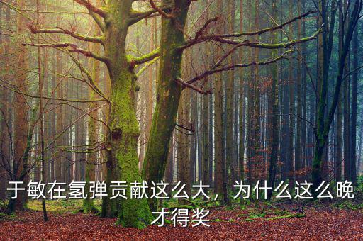 于敏在氫彈貢獻(xiàn)這么大，為什么這么晚才得獎