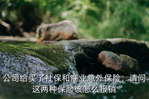 社保和商業(yè)保險(xiǎn)怎么報(bào)銷(xiāo),社保和商業(yè)保險(xiǎn)有什么區(qū)別