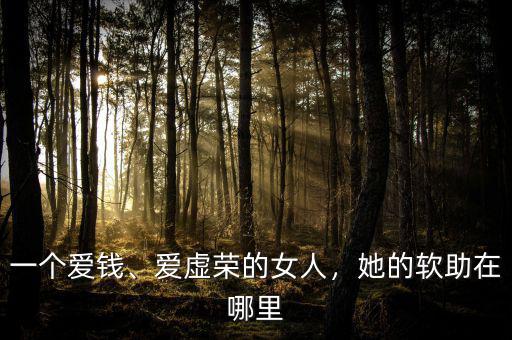 一個愛錢、愛虛榮的女人，她的軟助在哪里
