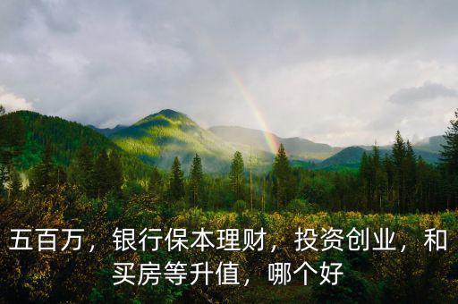 五百萬，銀行保本理財，投資創(chuàng)業(yè)，和買房等升值，哪個好