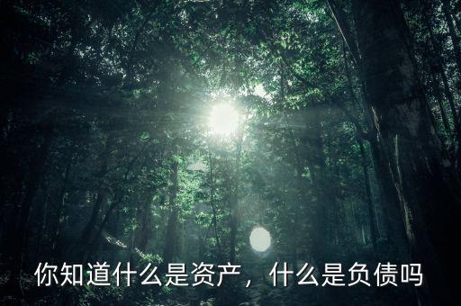 你知道什么是資產(chǎn)，什么是負債嗎