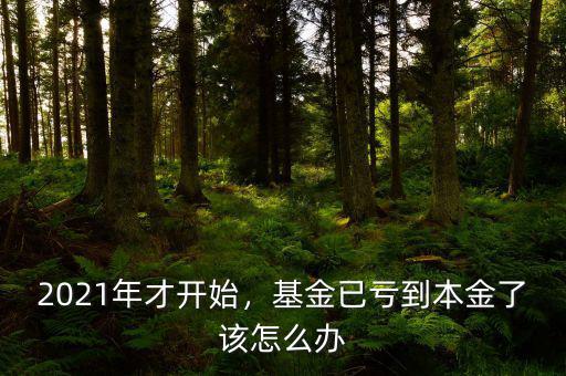 2021年才開始，基金已虧到本金了該怎么辦