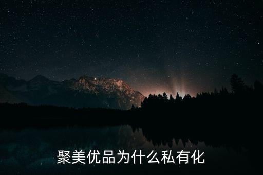 聚美優(yōu)品關(guān)稅怎么收,聚美優(yōu)品為什么私有化