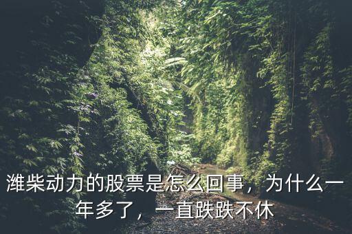 濰柴動力的股票是怎么回事，為什么一年多了，一直跌跌不休