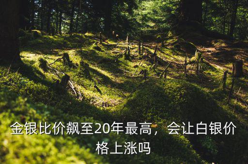 金銀比價飆至20年最高，會讓白銀價格上漲嗎