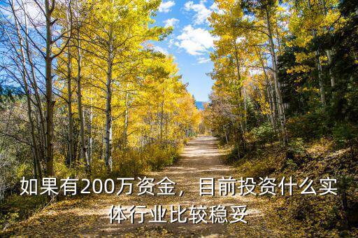 如果有200萬資金，目前投資什么實體行業(yè)比較穩(wěn)妥