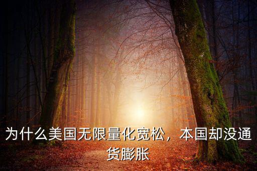 為什么美國(guó)無(wú)限量化寬松，本國(guó)卻沒通貨膨脹