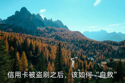 信用卡被盜刷之后，該如何“自救”