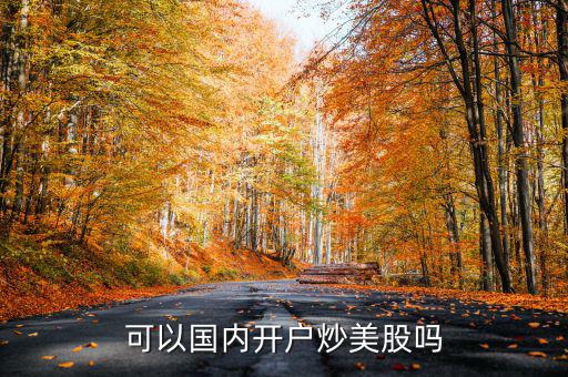可以國(guó)內(nèi)開(kāi)戶(hù)炒美股嗎