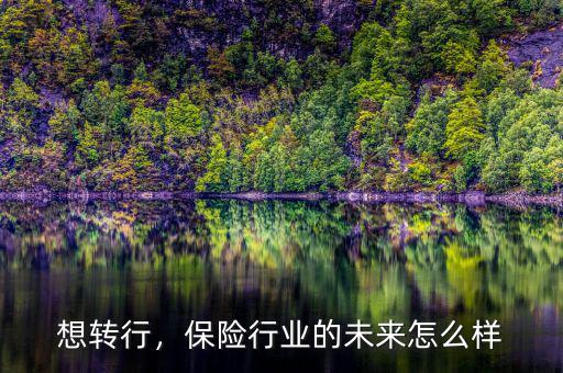想轉行，保險行業(yè)的未來怎么樣