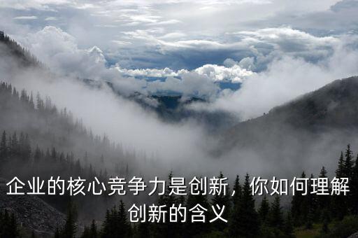 企業(yè)的核心競爭力是創(chuàng)新，你如何理解創(chuàng)新的含義