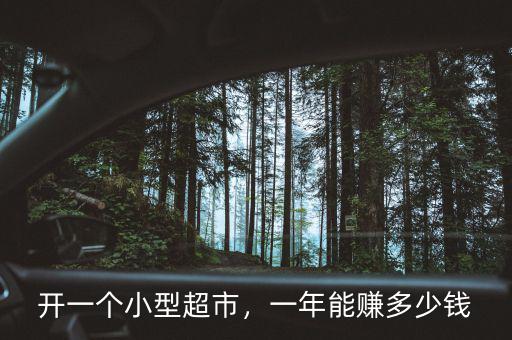 開一個(gè)小型超市，一年能賺多少錢