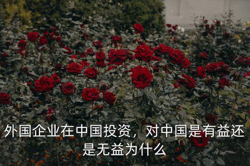 外國(guó)企業(yè)在中國(guó)投資，對(duì)中國(guó)是有益還是無(wú)益為什么
