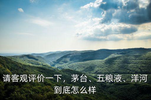 請客觀評價(jià)一下，茅臺、五糧液、洋河到底怎么樣