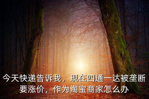 今天快遞告訴我，現(xiàn)在四通一達(dá)被壟斷要漲價，作為淘寶商家怎么辦