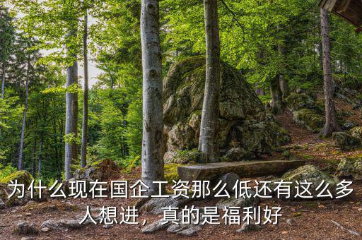 為什么現(xiàn)在國(guó)企工資那么低還有這么多人想進(jìn)，真的是福利好