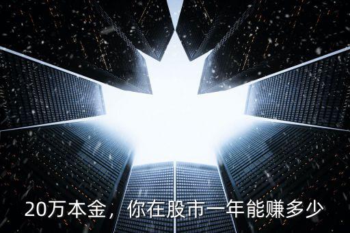 20萬(wàn)本金，你在股市一年能賺多少