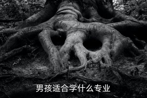 張旭豪學(xué)什么專(zhuān)業(yè),學(xué)什么專(zhuān)業(yè)好