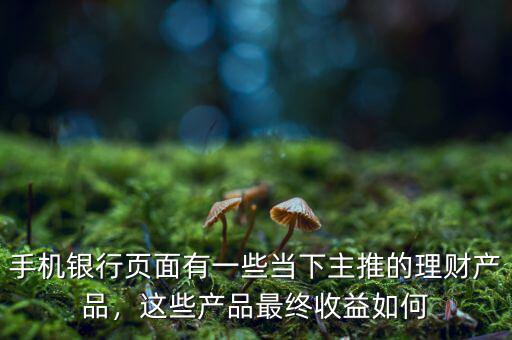 手機(jī)銀行頁面有一些當(dāng)下主推的理財產(chǎn)品，這些產(chǎn)品最終收益如何