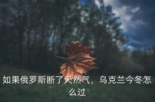 如果俄羅斯斷了天然氣，烏克蘭今冬怎么過