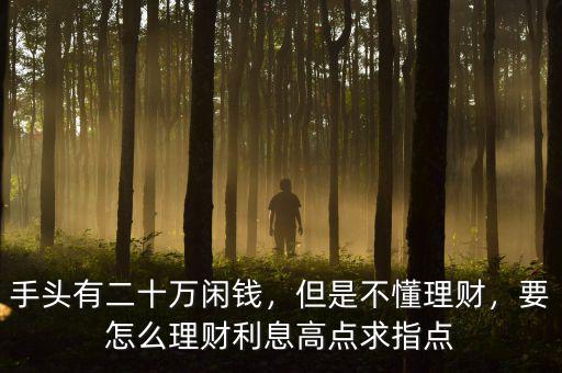 手頭有二十萬(wàn)閑錢(qián)，但是不懂理財(cái)，要怎么理財(cái)利息高點(diǎn)求指點(diǎn)
