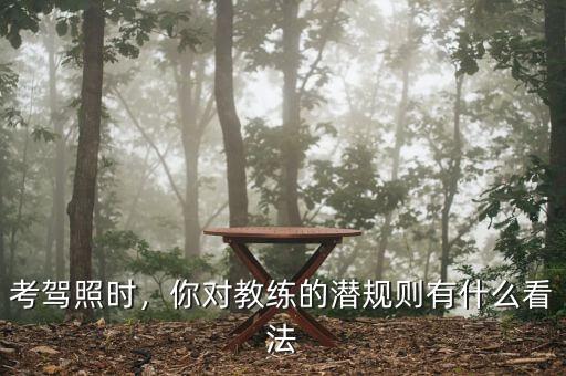 考駕照時，你對教練的潛規(guī)則有什么看法
