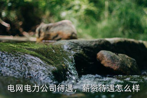 電網(wǎng)電力公司待遇，薪資待遇怎么樣