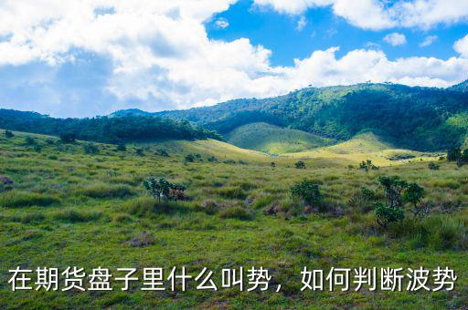 什么是期貨沽空,期貨平倉(cāng)期貨是誰的