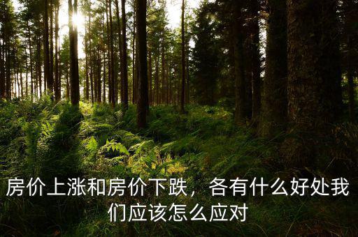 房價(jià)上漲和房價(jià)下跌，各有什么好處我們應(yīng)該怎么應(yīng)對(duì)