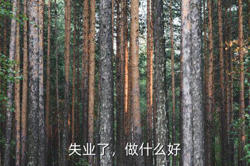 失業(yè)了，做什么好