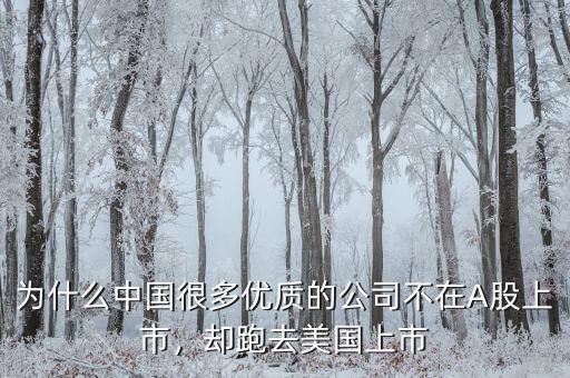 不盈利為什么能在美國上市,卻在美國上市。為什么